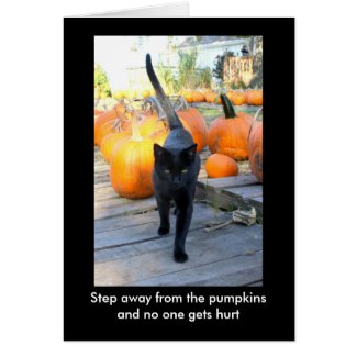 The Pumpkin Guardian Cat Halloween Humor Cards