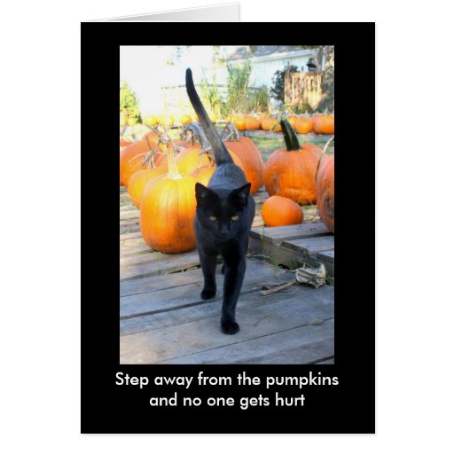 The Pumpkin Guardian Cat Halloween Humor Greeting Card Zazzle