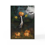 The Pumpkin Patch