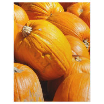 The Pumpkin Patch letterhead