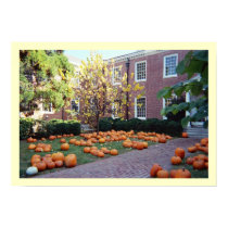 The Pumpkin Patch posters