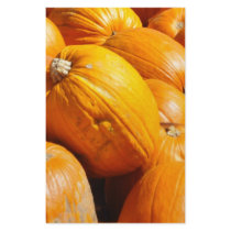 The Pumpkin Patch Stationery