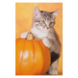 The pumpkin snatcher customized stationery