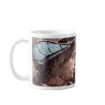 The Punishment Of Leviter Detail By Botticelli San Coffee Mugs