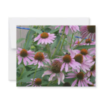 The Purple Coneflower Invite