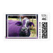 The Purple Cow postage