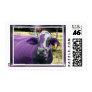 The Purple Cow