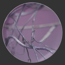 The Purple Entwine plates