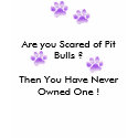The purple paw walk on me Tee t-shirts by halo1000 The purple paw walk on me Tee t-shirts