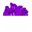 The [PURPLE] Walruses On The Rocks T-shirt