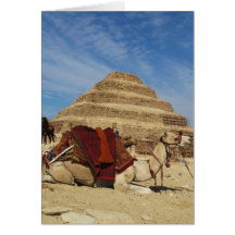 The Pyramid of Djoser (Zoser) with camel Cards