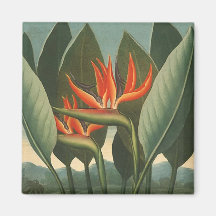 'The Queen (Bird of Paradise)' - Temple of Flora Magnets