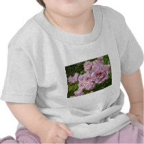 The Queen Of Sweden Roses t-shirts