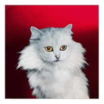 THE QUEEN OF WHITE CATS ,Red Burgundy Print