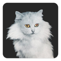 THE QUEEN OF WHITE CATS STICKERS