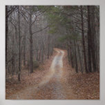 the quiet walk poster
