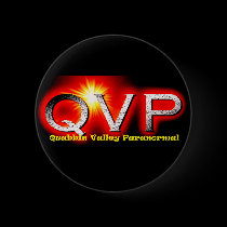 The QVP logo button