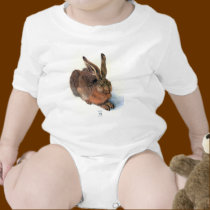 The Rabbit t-shirts
