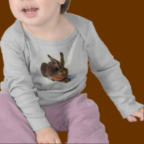 The Rabbit t-shirts