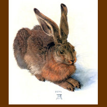The Rabbit t-shirts