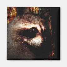 The Raccoon Fridge Magnet