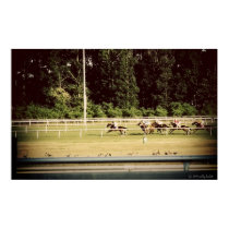 The Race posters
