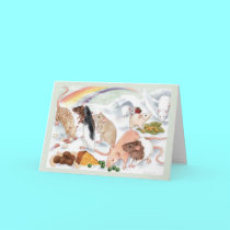 The Rainbow Bridge cards