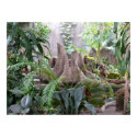 The Rainforest posters by Shadowchaser The Rainforest posters