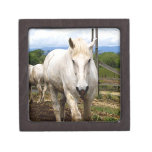 The Rancher: Images of a White Farm Horse Premium Keepsake Boxes