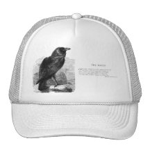 The Raven by Edgar Allen Poe Mesh Hats