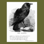 The Raven by Edgar Allen Poe postcards