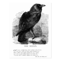 The Raven by Edgar Allen Poe Post Cards