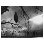 The Raven - Nevermore Sunbeams Tree B&W Flyers