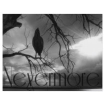 The Raven - Nevermore Sunbeams Tree B&W Flyers