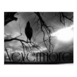 The Raven - Nevermore Sunbeams & Tree B&W Post Card