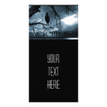 The Raven - Nevermore Sunbeams & Tree Blue Photo Cards