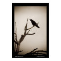 The Raven posters