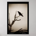 The Raven posters