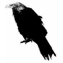 The Raven t-shirts