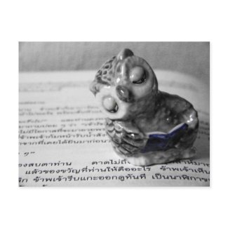 The Reader postcard
