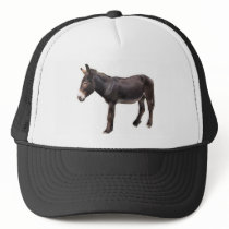 The Real Ass Hat