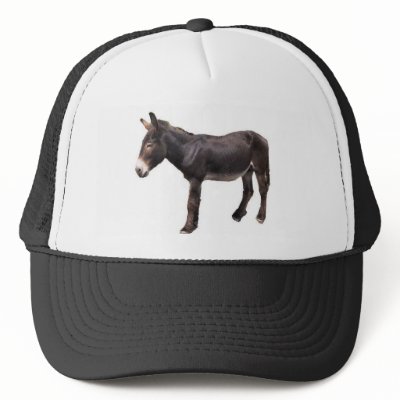 the_real_ass_hat-p148754393649826158qz14_400.jpg