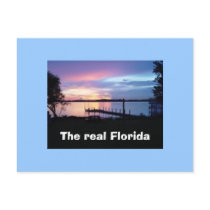 The real Florida postcard