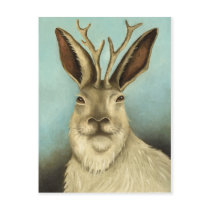 The Real Jackalope Postcards