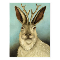 The Real Jackalope postcards