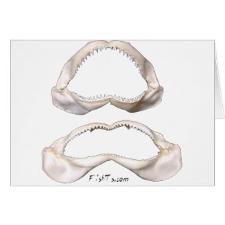 The Real Jaws-Sharks Teeth Card