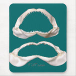 The Real Jaws-Sharks Teeth