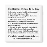 The Reasons I'm Gay Fridge Magnets
