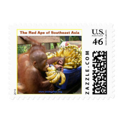 The Red Ape of Southeast Asia stamp