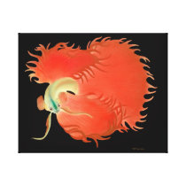 The Red Betta Fighting Fish Wrapped Canvas